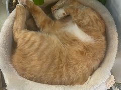 -Vanillacafe香草咖啡(银海大世界店)