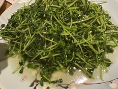 -渝人码头 川菜店 Chungking Szechuan Cuisine