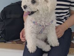 -纳吉亚猫专科动物诊疗中心(蒋宅口分院)