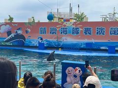 -秦皇岛新澳海底世界
