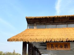 -溱湖国家湿地公园