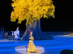 -鼎盛王朝康熙大典实景演出