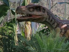 -国家植物园南园