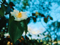 -敬亭山风景名胜区