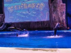 -华夏文旅西安度假区