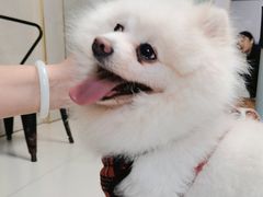 -关爱动物医院·心脏·中兽医·异宠(金牛路分院)