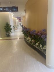 -天津伊美尔医疗整形美容专科医院