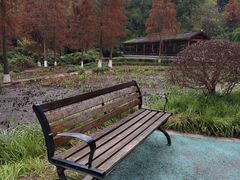 -重庆彩云湖湿地公园
