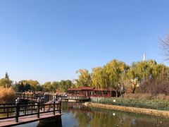 -古塔公园