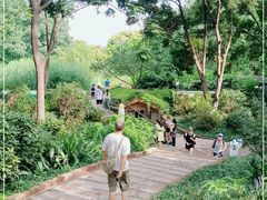 -成都市活水公园