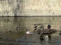 -元大都城垣遗址公园