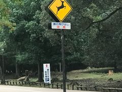 -奈良公园