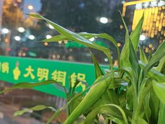 -大明铜锅·烤涮坊·烧烤(新开路店)