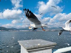 -海埂大坝