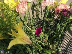 iphone_upload_pic-草场地艺术区