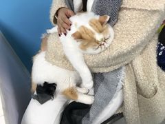 -瑞派宠物医院·24h·骨外科·皮肤科·全科宠物医疗转诊中心(沈阳浑南院)