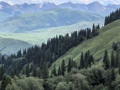 -新疆那拉提国家旅游度假区