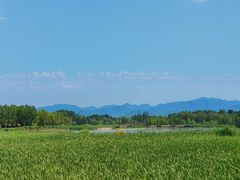 -野鸭湖国家湿地公园
