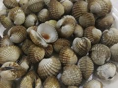 血蛤-纽顿熟食中心