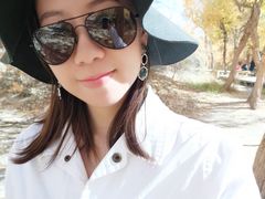 -金塔沙漠胡杨林景区