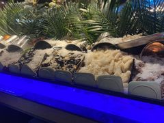 -海吃海喝海鲜烤肉炭火主题自助餐(朝阳店)