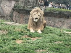 -杭州野生动物世界