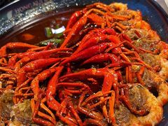 -红盔甲·小龙虾(天钥桥店)
