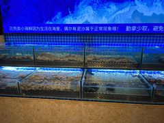 -芭菲盛宴·环球美食(北城国际店)