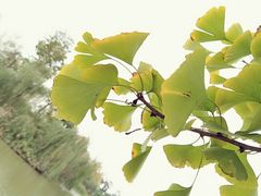 -白鹭湾湿地公园