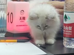 -无趣桌游狼人杀店