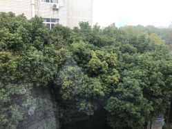 -弗蕾亚·和月月子调理院(东湖店)