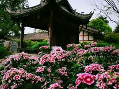 -安仁古镇