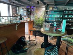 -抱暴龙爬宠·异宠·撸宠撸爬主题馆(大学路店)