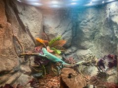 -成都浩海立方海洋公园