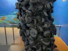 -辽宁古生物博物馆