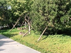 -回龙观体育文化公园