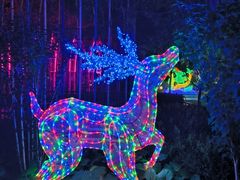 -南宫五洲植物乐园