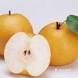 别有冰糖般的甘甜冰凉。品种涵盖丰水、秋月、南水、华山等