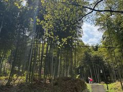 -东明山森林公园