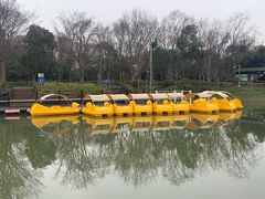 -上海海湾国家森林公园