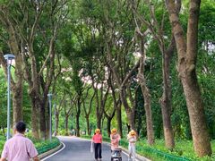 -东莞植物园