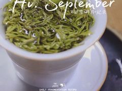 -正源安吉白茶特产享购商场(安吉店)