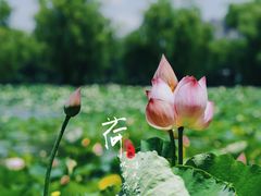 -湖南烈士公园(芙蓉区)
