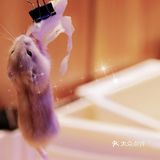 夏日推荐超级好看的萌宠馆｜PoiPoi