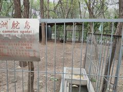 -廊坊市自然公园