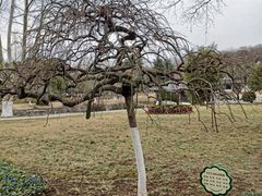 -南山风景名胜区