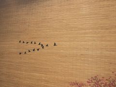 -大吉鲜鱼料理自慢(维也纳大厦店)