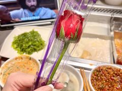 -海底捞火锅(凯德广场店)