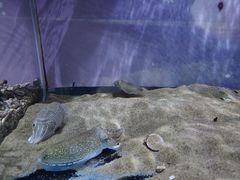 -欢乐海岸海洋奇梦馆