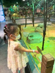 -酷嗒动物文化乐园(cutezoo西溪乐天城店)